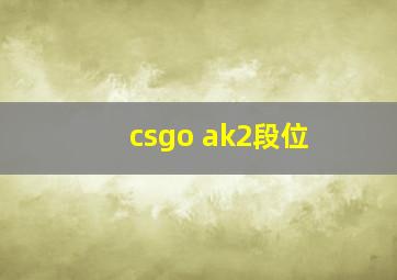 csgo ak2段位